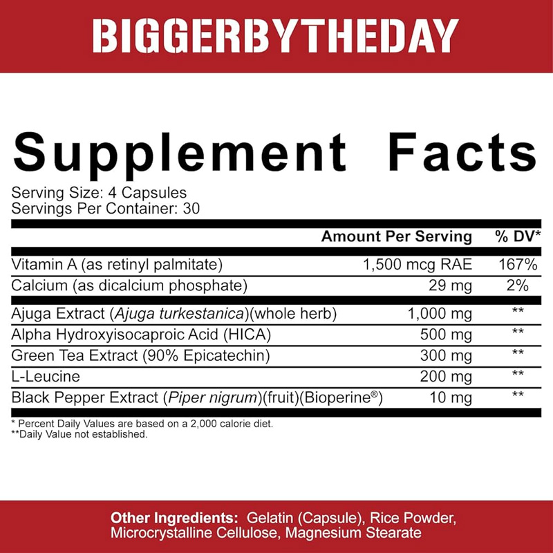 Rich Piana 5% Nutrition Bigger By The Day 120 caps - Image 2